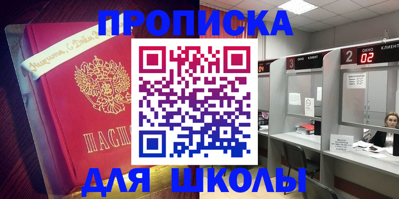 прописка иностранных граждан в Сертолово